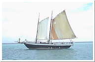 union03.jpg