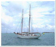 Union11.jpg