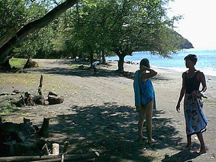 mtwyn04.jpg