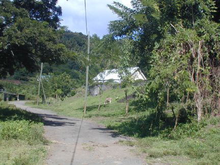 ptrhope03.jpg