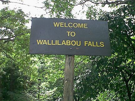 wallil01.jpg