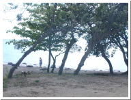 mtwyn01.jpg