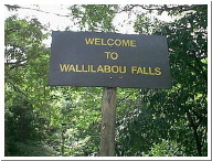 wallil01.jpg