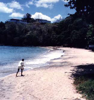 vilbch02.jpg