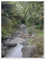 congo06.jpg