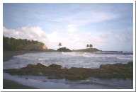 rawacou02.jpg
