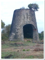 rawacou04.jpg