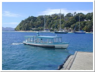 YngFer01.jpg